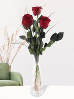 Drie bordeaux rode long life rozen inclusief vaasje - thumbnail