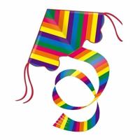 Günther Flugspiele Eenlijns Vlieger Rainbow Spanwijdte 970 mm Geschikt voor windsterkte 3 - 6 bft - thumbnail