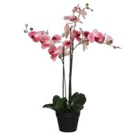 Kunstplant mica phalaenopsis orchidee roze | 2 stuks - thumbnail