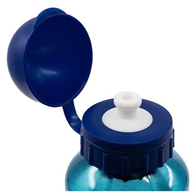 Fles Bluey Aluminium 400 ml
