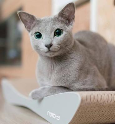 MyKotty MyKotty Scratching Furniture Tobi Grey