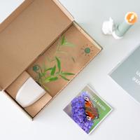 Vlinderstruik - Brievenbusplantje - thumbnail