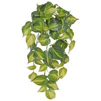 Philodendron Scandens Brasil kunst hangplant 50cm - thumbnail