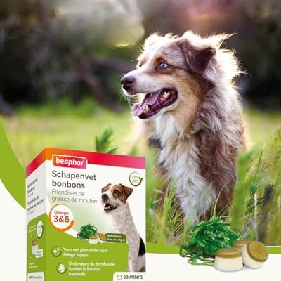 Beaphar Schapenvet Bonbons Mini Zeewier - thumbnail