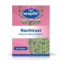 Nachtrust - thumbnail