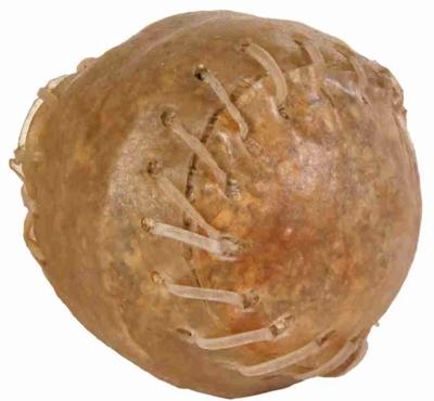 TRIXIE KAUWBAL GENAAID 8 CM 10X170 GR