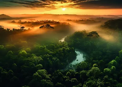 Alexsar Art Tuinschilderij view vibe 70x50cm