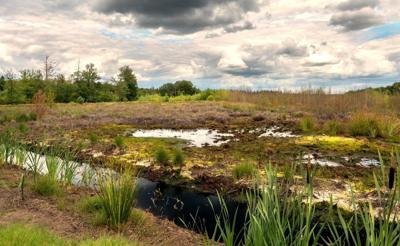 Tuinschilderij drenthe 130x70cm Customize-it - Customize it