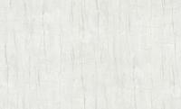 Dutch Wallcoverings Yudashkin 5 10X1,06M - Beige/Zilver - thumbnail