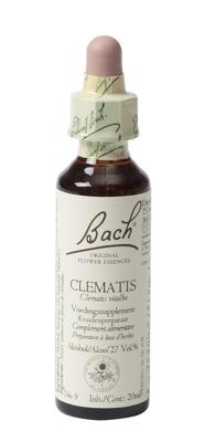 Bach Flower Remedies Bosrank 09 Bach Flower Remedies Bosrank 09