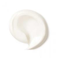 Dr. Hauschka Rose Day Cream 30 ml - thumbnail