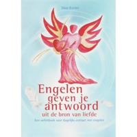 Engelen geven je antwoord - S. Bader - Paperback (9789077247570) - thumbnail