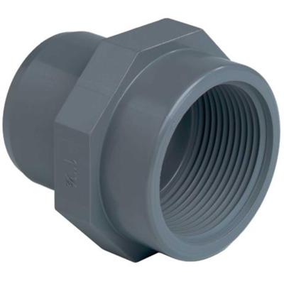 Aquaforte PVC Inzetschroefbus 50x2 inch - Lijmverbinding & Binnendraad voor Efficiënt Vijveronderhoud