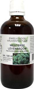 Cruydhof Thuja occidentalis / levensboom tinctuur 100 Milliliter