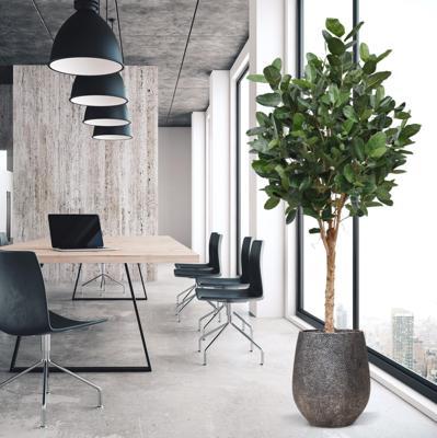 Ficus Audrey Kunstboom Deluxe 250cm