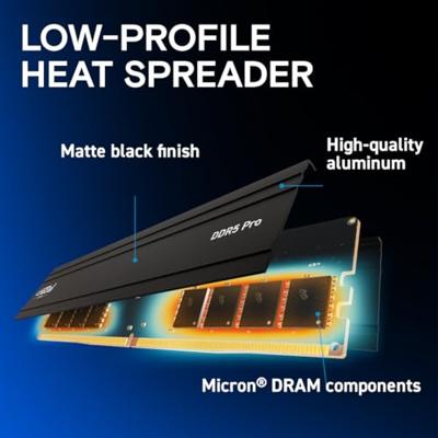 Crucial CP32G56C46U5 Werkgeheugenmodule voor PC Retail DDR5 32 GB 1 x 32 GB On-die ECC 5600 MHz 288-pins DIMM CL46 CP32G56C46U5 Crucial CP32G56C46U5 Werkgeheugenmodule voor PC Retail DDR5 32 GB 1 x 32 GB On-die ECC 5600 MHz 288-pins DIMM CL46 CP32G56C46U5