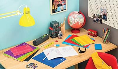 Clairefontaine schrift Metric, ft 17 x 22 cm, 96 bladzijden, seyès, geassorteerde kleuren