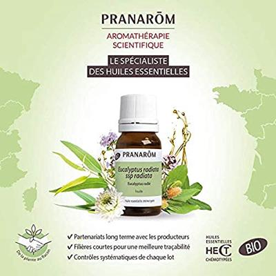 Pranarôm Essentiële Olie Eucalyptus Globulus 10ml