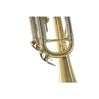 Vincent Bach TR655 Bb trompet 124 mm (gelakt) met tas - thumbnail