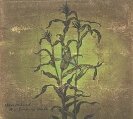 Laughing Stalk - CD (4030433776520) Laughing Stalk - CD (4030433776520)