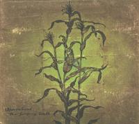 Laughing Stalk - CD (4030433776520) - thumbnail