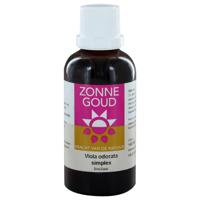 Zonnegoud Viola Odorata Simplex - thumbnail