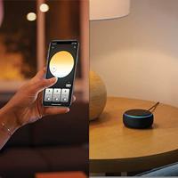 Philips Plafondlamp Hue Enrave S - White Ambiance Ø 26,1cm zwart 915005996501 - thumbnail