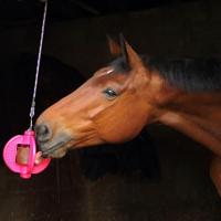 Bizzy Ball roze - thumbnail