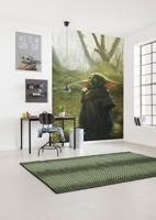 Komar Into Adventure Fotobehang Star Wars - Mandalorian Grogu Acrylic - IADX4-018 - thumbnail