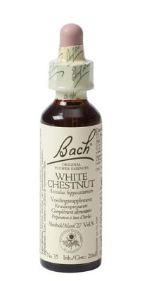 Bach Flower Remedies Paardekastanje 35 Bach Flower Remedies Paardekastanje 35