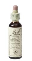 Bach Flower Remedies Paardekastanje 35 - thumbnail