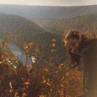 Nin - CD (5414165081173) - thumbnail