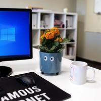 Bloempot met ogen - Blauw - thumbnail