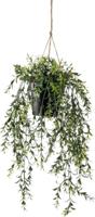 Kunst Hangplant Buxus 40cm - thumbnail
