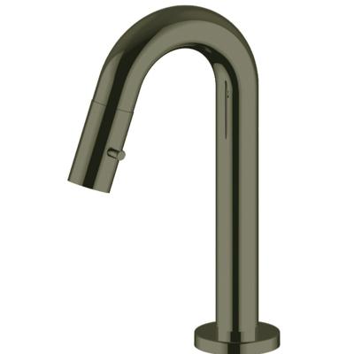 Fonteinkraan Opbouw Salenzi Giro Gebogen Gegalvaniseerd Messing Zwart Chroom OUTLET