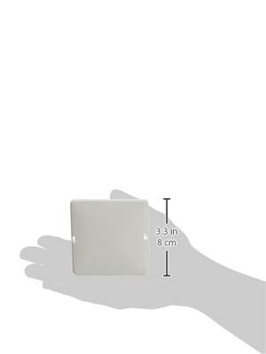 ELSO blinde afdekking 503014 1f. 80x80 RENOVATIE zuiver wit Meerdere kleuren 1 stuk(s) ELSO blinde afdekking 503014 1f. 80x80 RENOVATIE zuiver wit Meerdere kleuren 1 stuk(s)