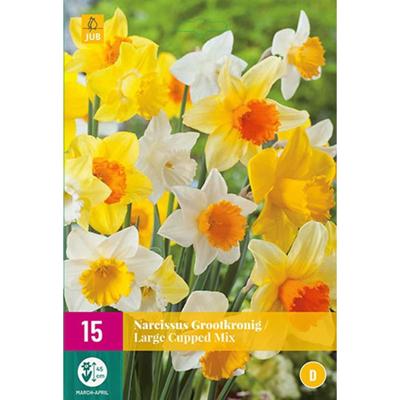 Narcis grootkronig mix 15 bollen Narcis grootkronig mix 15 bollen