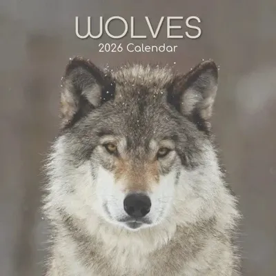 Wolven Kalender 2026