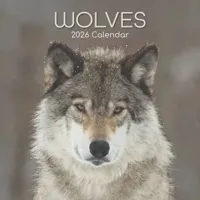 Wolven Kalender 2026 - thumbnail