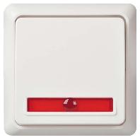 ELSO controlewisselschakelaar 501624 10A verlicht RENOVATIE rw 1 stuk(s)