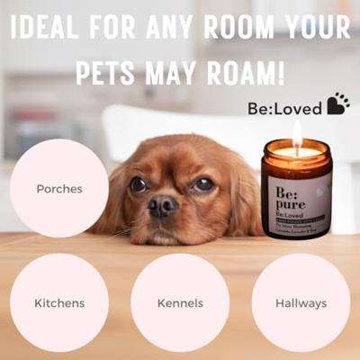 Beloved pure candle kaars