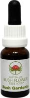Australian Bush Bush gardenia 15 Milliliter - thumbnail
