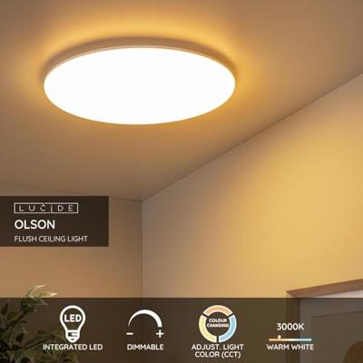 Lucide OLSON - Plafonnière Badkamer - Ø 45 cm - LED - CCT - 1x45W 3000K/6500K - IP44 - Opaal