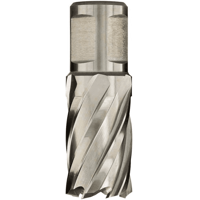 Euroboor HCS.190 | Kernboor | 19X30 mm - HCS.190 - thumbnail