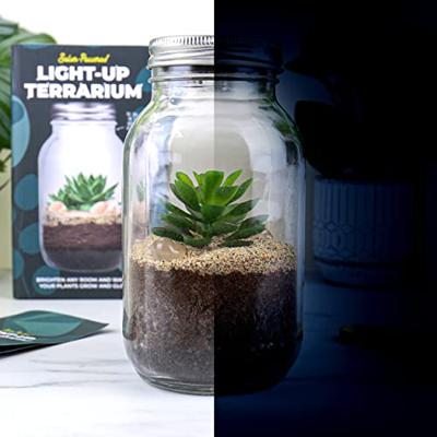 Lichtgevend terrarium