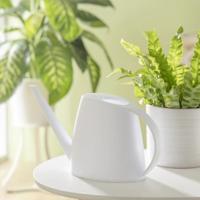 Scheurich Gieter Lilly 1.5l Wit - thumbnail