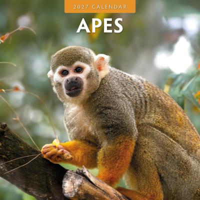 Apen Kalender 2027 Apen Kalender 2027