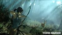 Tomb Raider (essentials) - thumbnail