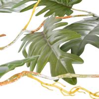 Philodendrn selloum L115 x B37 x H9 cm groen Mica Decorations - Mica decorations - thumbnail