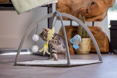 Beeztees kitten speelkleed Xabia grijs kattenspeelgoed 40x40x33cm
